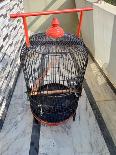 parrot cage