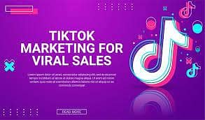 Professional TikTok Ads Management | Real Results