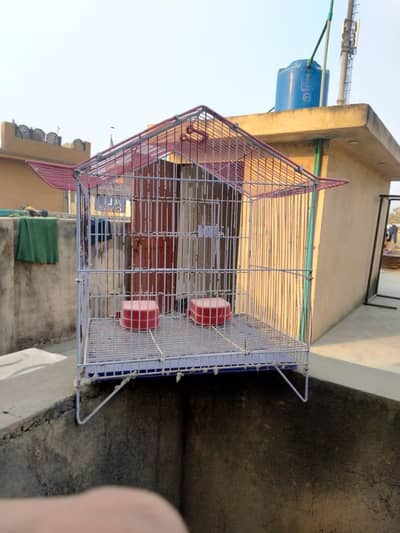 parrot cage