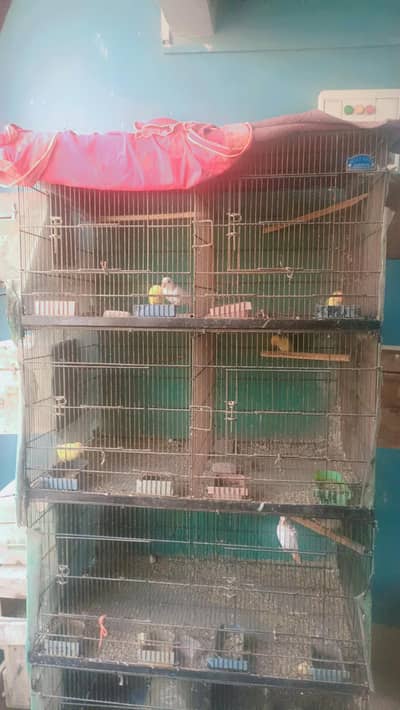 complete setup 5 pair with cage 2 by 1.5 size