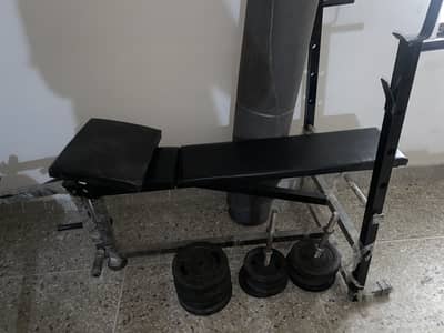 Bench & Dumbells