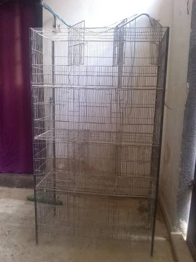 parrots large cage