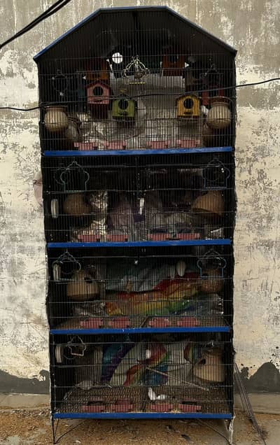 Cage for sale with birds