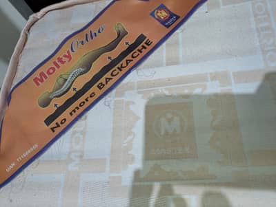 Master Molty Ortho Mattress