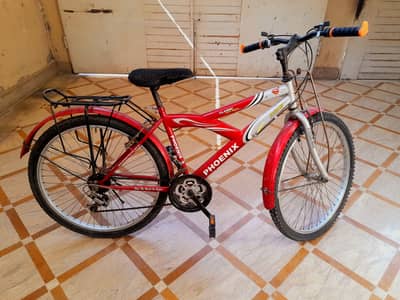 Phoenix gear’s cycle