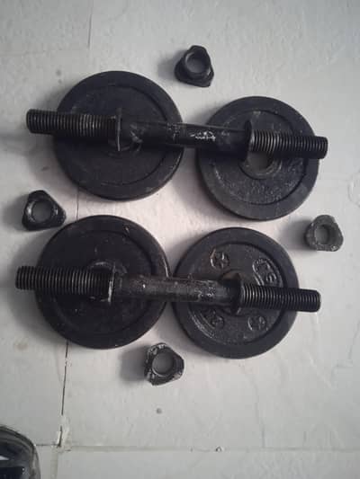 Dumbbells and barbell