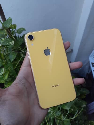 IPhone Xr dual PTA approved