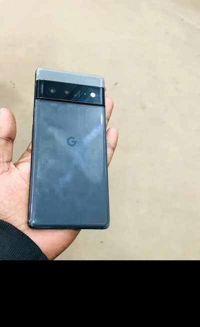 Pixel 6 Pro approved dual