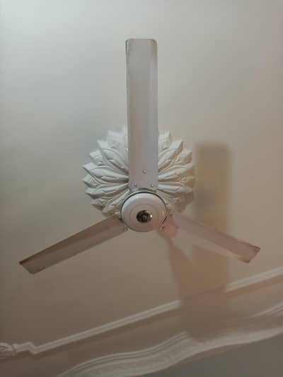 Selling my Hair Fridge and Fans and other house holding items