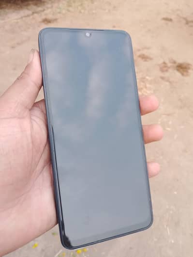 everything is genuimum