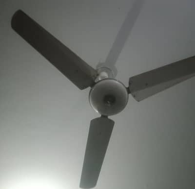 2 celling fans full size in Lowest price