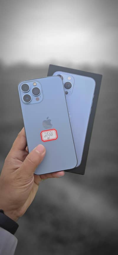 13 promax non pta 256gb