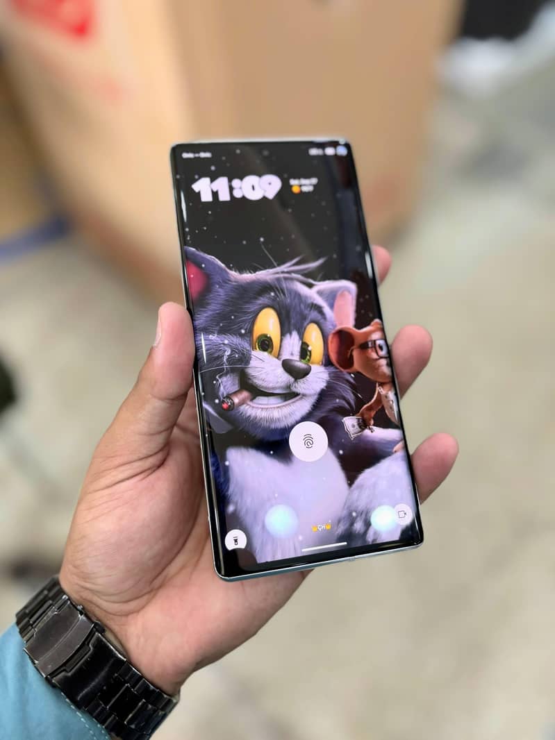 Google Pixel 6 Pro 6