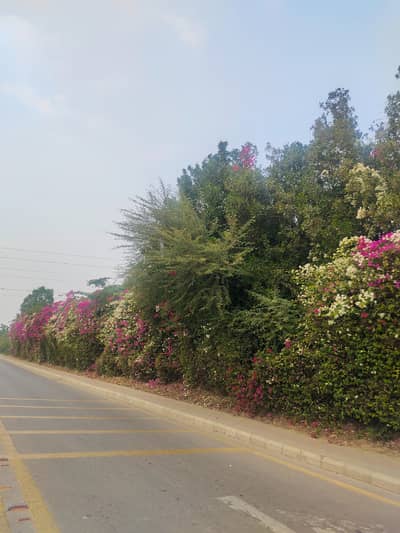 Precinct 1 272 Sqyd residential plot available for sale in Bahria Town Karachi