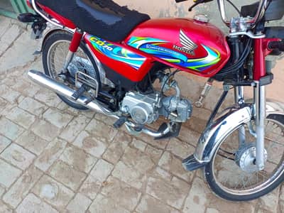 cd 70 lush conditions