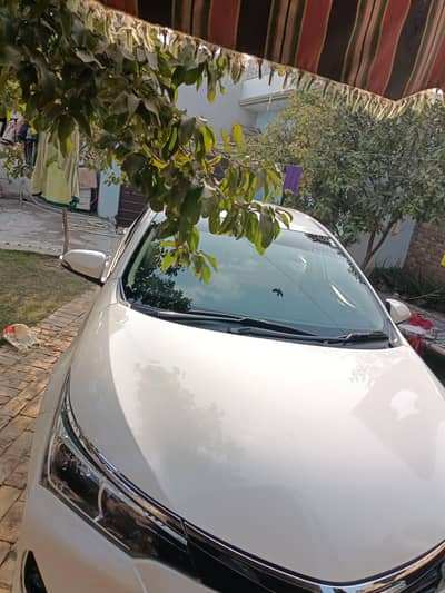 Toyota Corolla Gli 2019 model super white