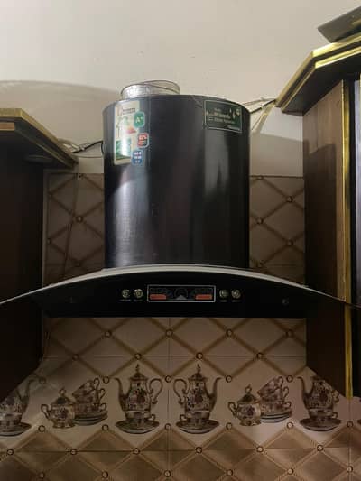 Electric Chimney Exhaust For Sale