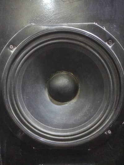12 inch speaker