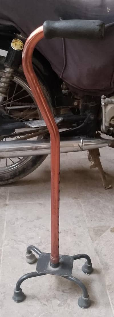 Running Walking Stick (4-Leg Walking Cane)