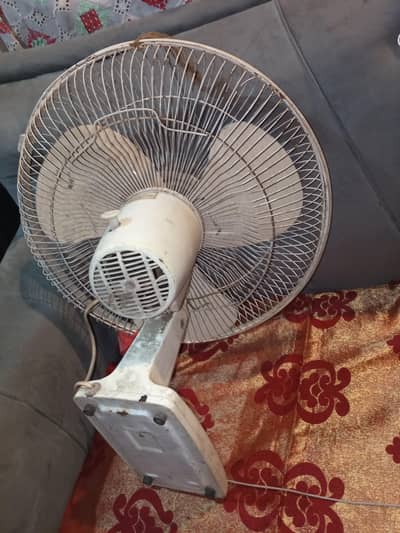 sake a fane neet and clean