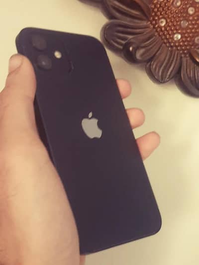IPhone 12 factory unlocked 10/10  All ok 100%