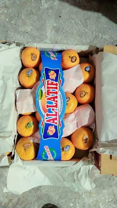 Al lateef kinnow Factory