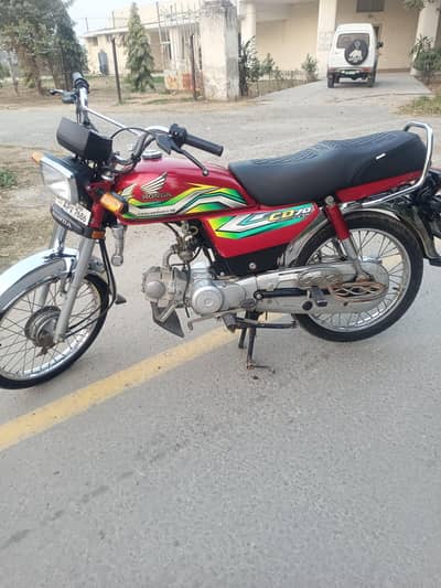 CD 70 in Lush Condition