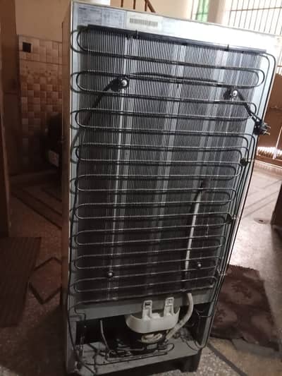 Hier fridge medium size