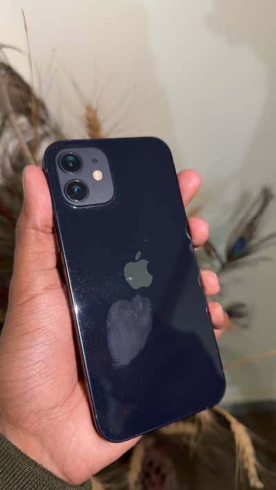 iPhone 12 for sale
