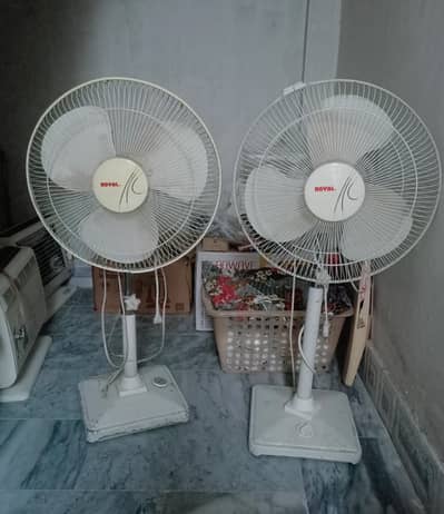 two  pedestal fans