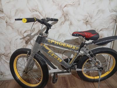 bicycle fatty tire 20 size | imported cycle | bicycle