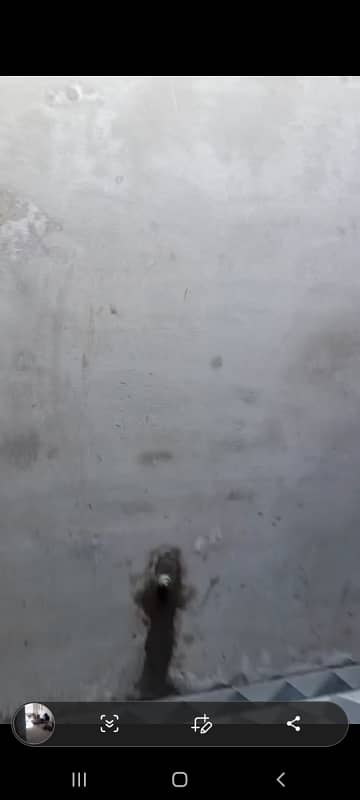 8 marla single story office for rent with basment