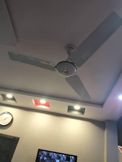 sonex 47 species fan simple