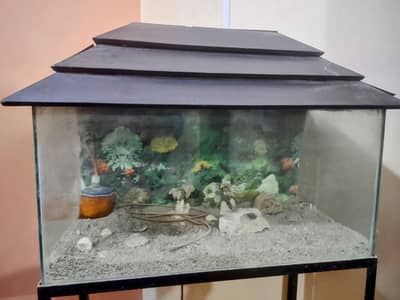 Aquarium for sale
