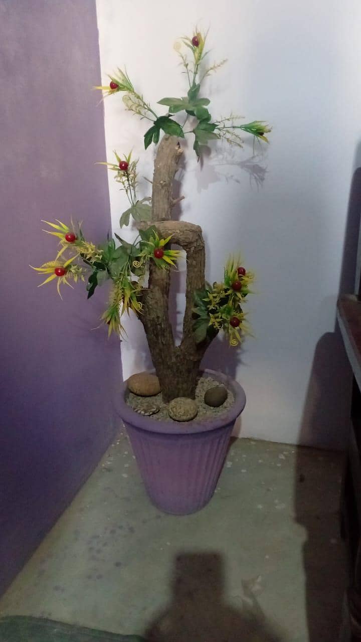 ہوم ڈیکوریشن 4