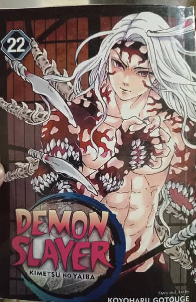 Demon slayer kimetsu no yaiba 22