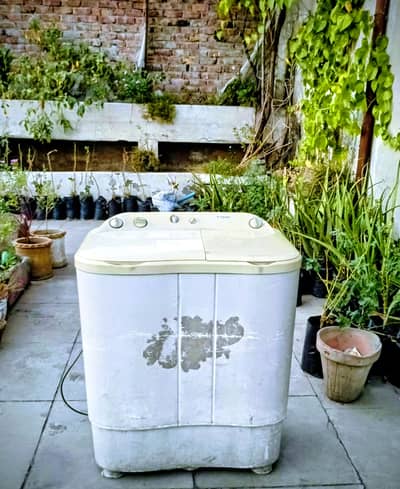 My Haier HWM 80-000 Semi-automatic Only Rs 13999