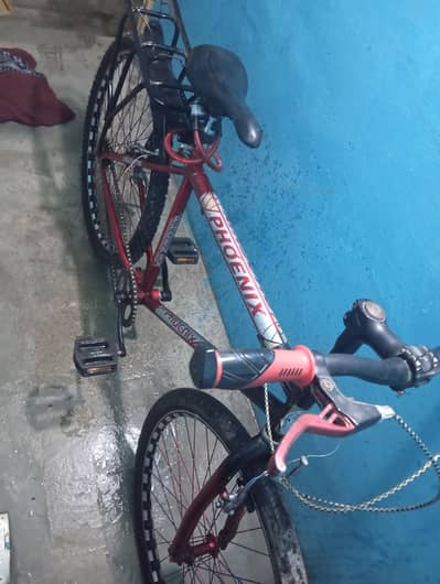 Phoenix bicycle 26 "
