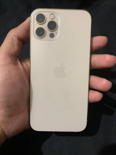 12 pro pta approved gold color 128 gb