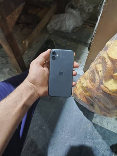 iPhone 11 waterpak 10by10 hn