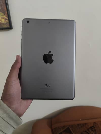 Apple ipad mini 2 All working 10/10 conditin