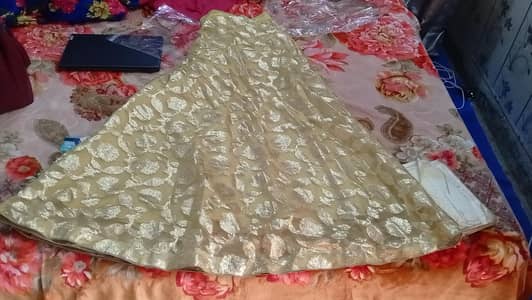 all suits are in reasonable price