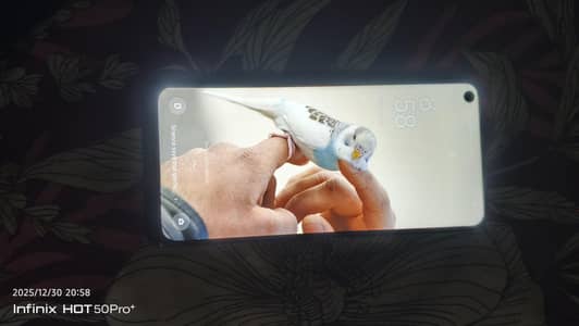 Oppo Reno 5 5g non pta