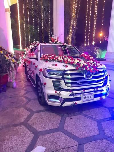 TANOLI RENT A CAR SERVICE