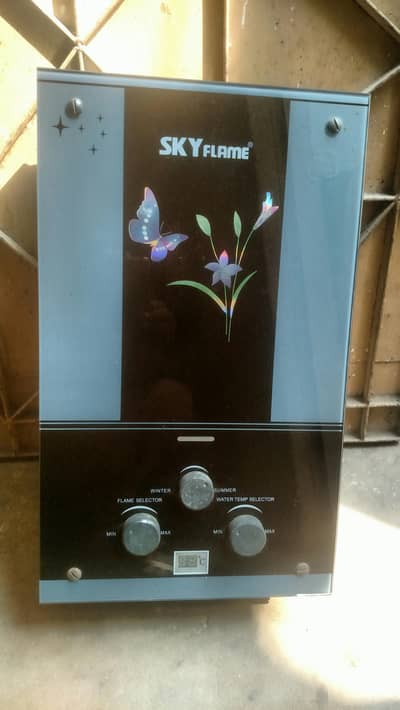 Instant Water Heater SSG and LPG Gas System