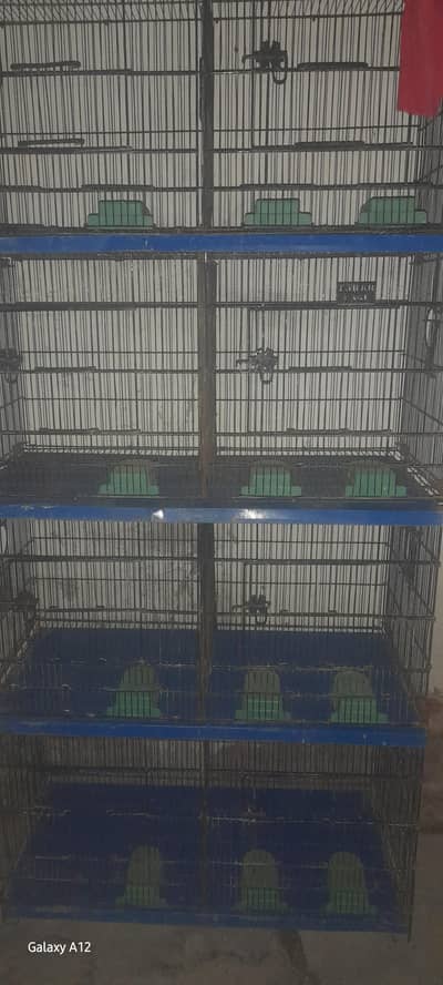cages/ birds