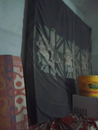 molty foam matters  03474725507 wattsup pr raabta kren