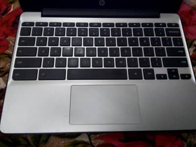 hp Chromebook