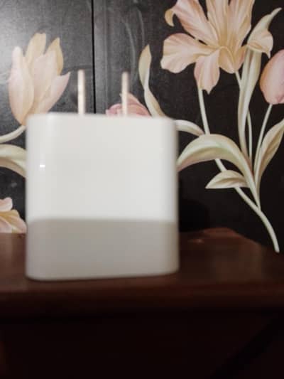 Apple original adoptar