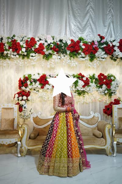 Wedding Dress / Mehndi Lehnga